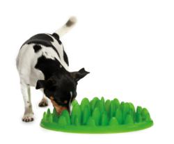 slow dog feeder